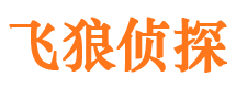 安徽市婚姻调查